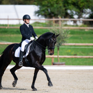 CDI Troisdorf 2023 - autumn
