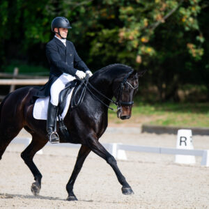 CDI Troisdorf 2023 - autumn