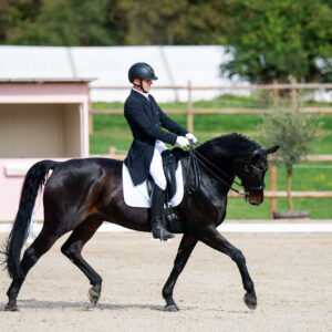 CDI Troisdorf 2023 - autumn