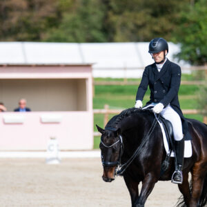 CDI Troisdorf 2023 - autumn