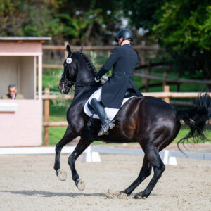 CDI Troisdorf 2023 - autumn