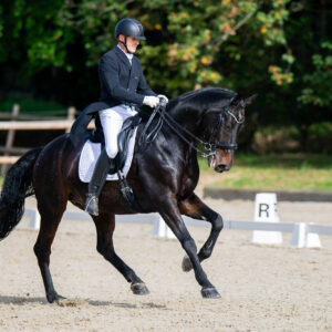 CDI Troisdorf 2023 - autumn