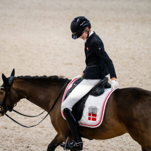 CDI Wroclaw 2023 - autumn