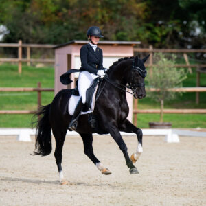 CDI Troisdorf 2023 - autumn