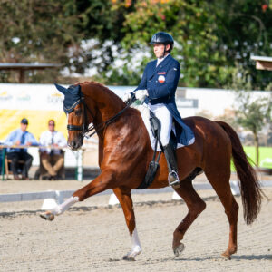CDI Troisdorf 2023 - autumn
