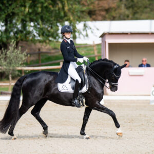 CDI Troisdorf 2023 - autumn
