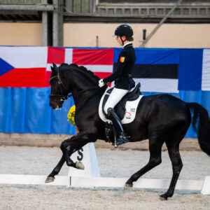 CDI Wroclaw 2023 - autumn