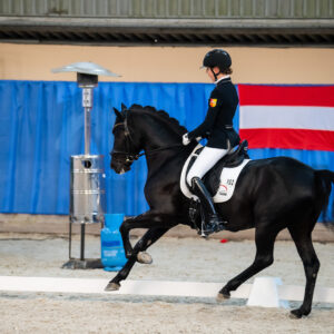 CDI Wroclaw 2023 - autumn