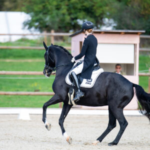 CDI Troisdorf 2023 - autumn