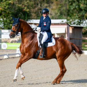 CDI Troisdorf 2023 - autumn