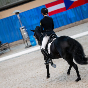 CDI Wroclaw 2023 - autumn
