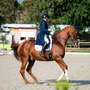 CDI Troisdorf 2023 - autumn