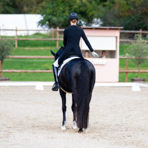 CDI Troisdorf 2023 - autumn