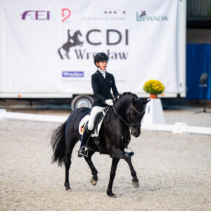 CDI Wroclaw 2023 - autumn