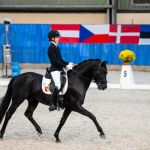 CDI Wroclaw 2023 - autumn