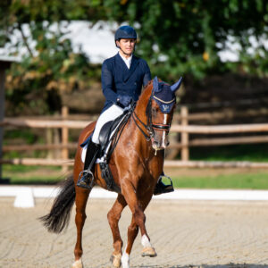 CDI Troisdorf 2023 - autumn