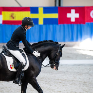 CDI Wroclaw 2023 - autumn