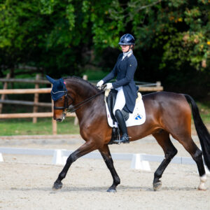 CDI Troisdorf 2023 - autumn