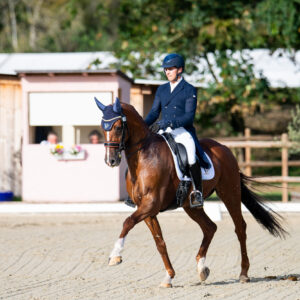 CDI Troisdorf 2023 - autumn