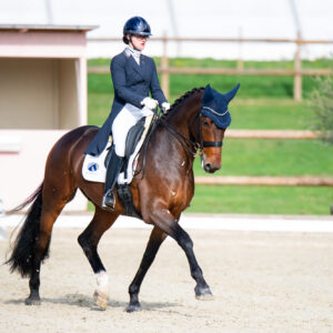 CDI Troisdorf 2023 - autumn