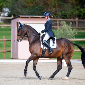 CDI Troisdorf 2023 - autumn