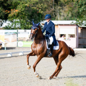 CDI Troisdorf 2023 - autumn