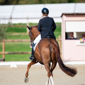 CDI Troisdorf 2023 - autumn