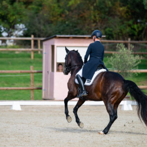 CDI Troisdorf 2023 - autumn
