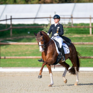 CDI Troisdorf 2023 - autumn