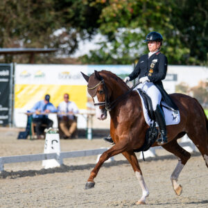 CDI Troisdorf 2023 - autumn