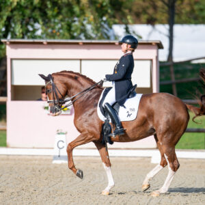 CDI Troisdorf 2023 - autumn