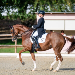 CDI Troisdorf 2023 - autumn