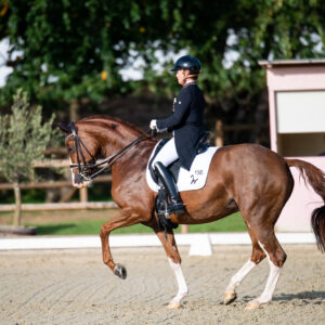 CDI Troisdorf 2023 - autumn