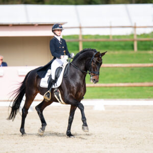 CDI Troisdorf 2023 - autumn