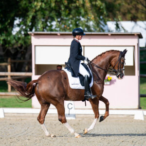 CDI Troisdorf 2023 - autumn