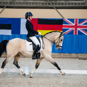 CDI Wroclaw 2023 - autumn