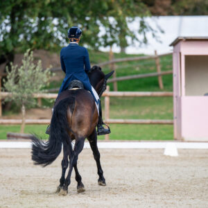 CDI Troisdorf 2023 - autumn