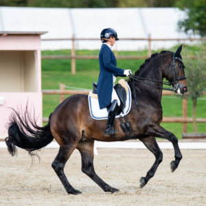 CDI Troisdorf 2023 - autumn