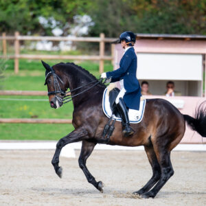 CDI Troisdorf 2023 - autumn