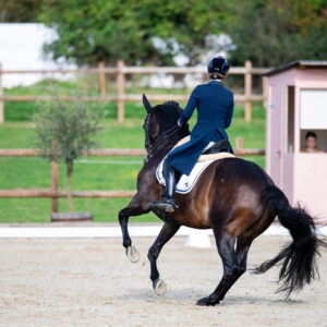 CDI Troisdorf 2023 - autumn