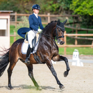 CDI Troisdorf 2023 - autumn