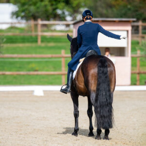 CDI Troisdorf 2023 - autumn