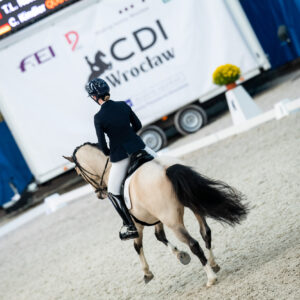 CDI Wroclaw 2023 - autumn