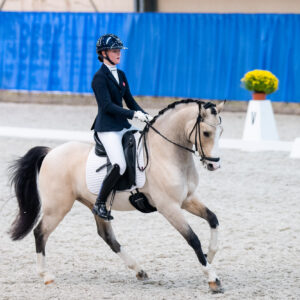 CDI Wroclaw 2023 - autumn