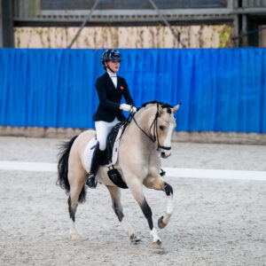 CDI Wroclaw 2023 - autumn