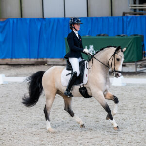 CDI Wroclaw 2023 - autumn