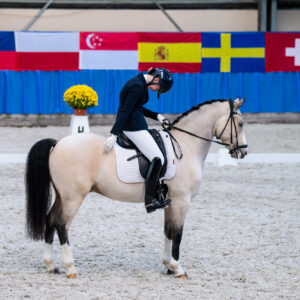 CDI Wroclaw 2023 - autumn