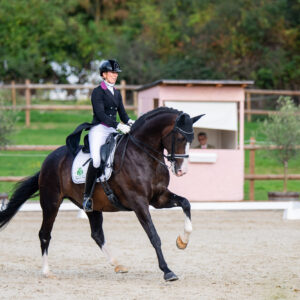 CDI Troisdorf 2023 - autumn