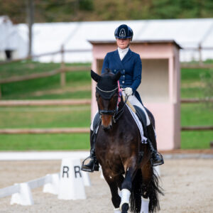 CDI Troisdorf 2023 - autumn