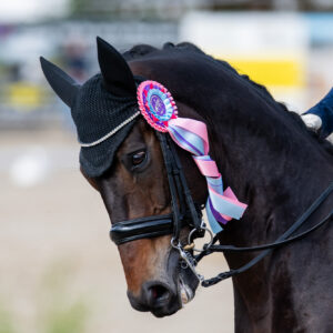CDI Troisdorf 2023 - autumn